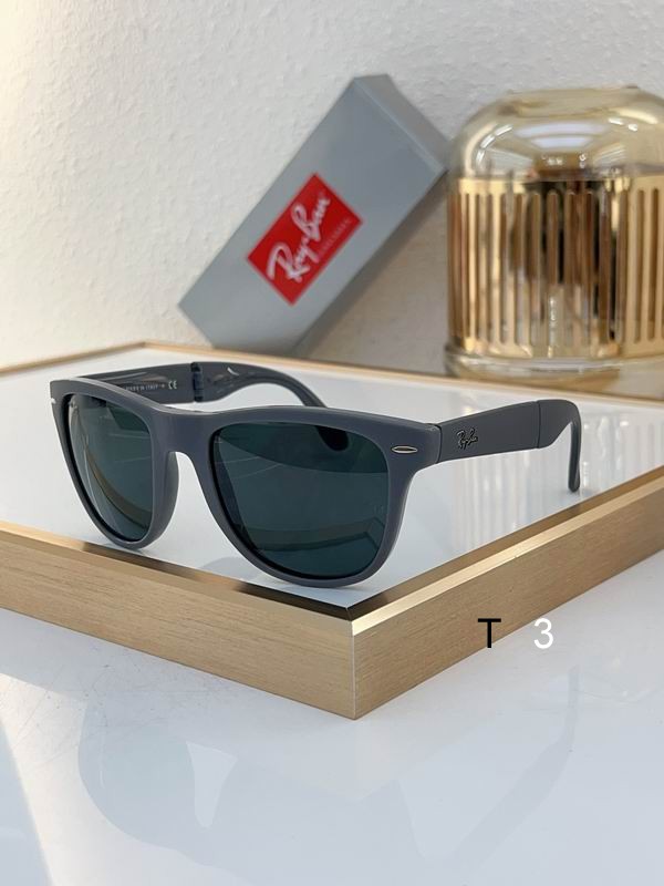 RayBan Sunglasses ID:20240804-366